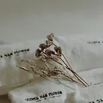 Βίλα Quinta Flores