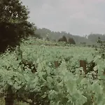 Quinta Flores Βίλα *