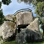 Quinta Flores *