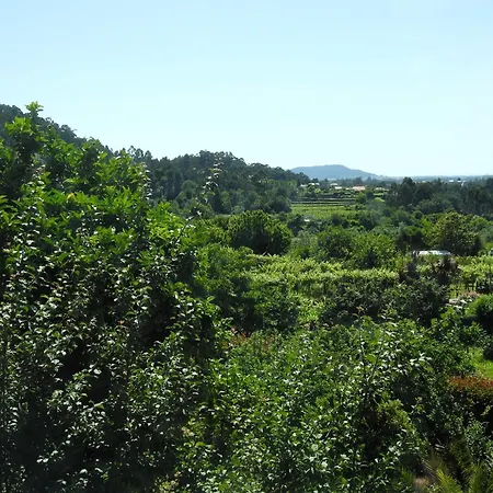 Quinta Flores - Viana Do Castelo, Geraz do Lima