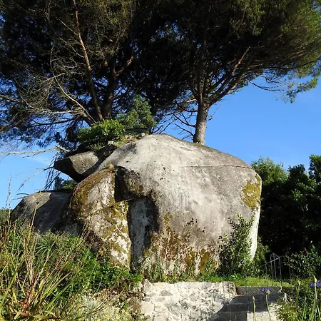 Quinta Flores - Viana Do Castelo, Geraz do Lima