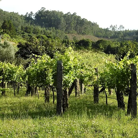 Quinta Flores - Viana Do Castelo, * Geraz do Lima