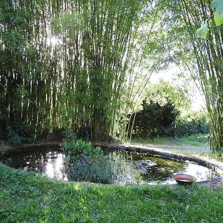 Quinta Flores - Viana Do Castelo,