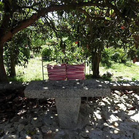 Quinta Flores - Viana Do Castelo, Villa Geraz do Lima
