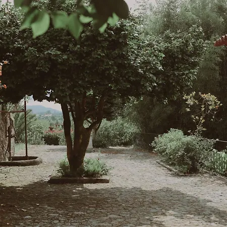 Quinta Flores Geraz do Lima