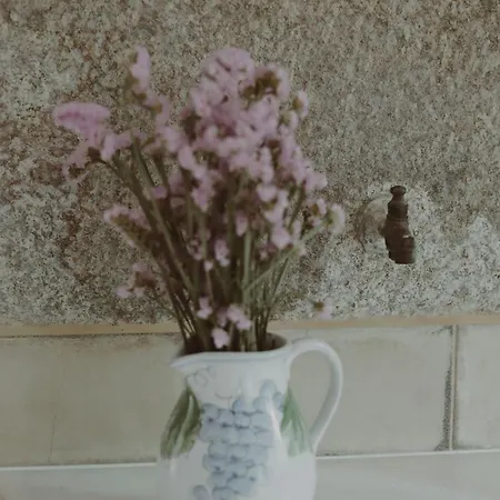 Quinta Flores Вилла *