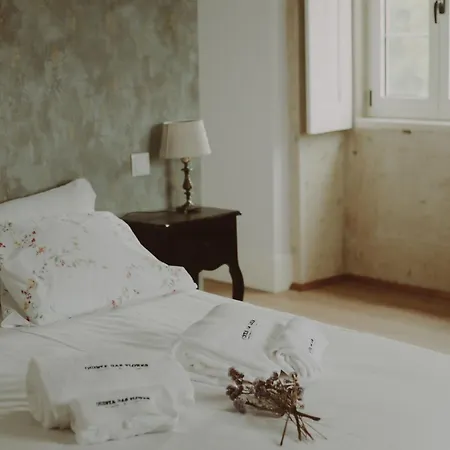 Willa Quinta Flores *