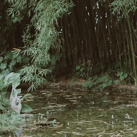 Quinta Flores Willa *