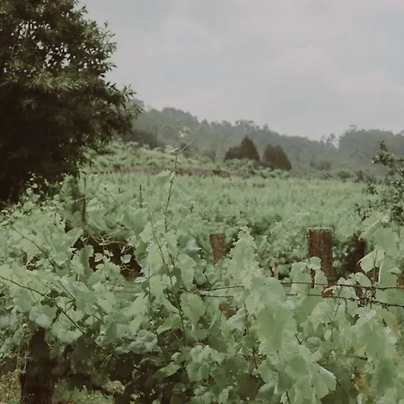 Quinta Flores Willa *