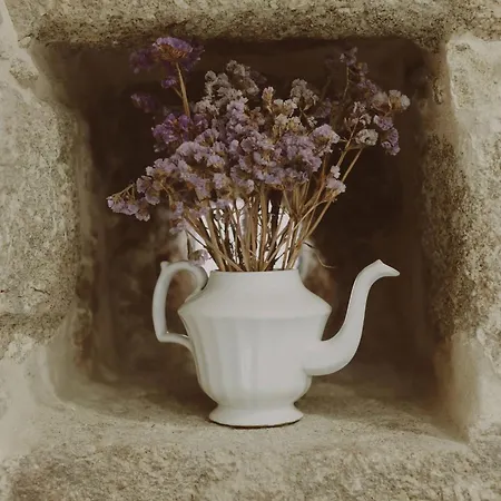 Willa Quinta Flores *