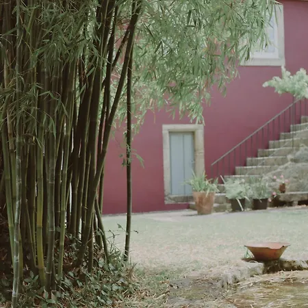 Quinta Flores
