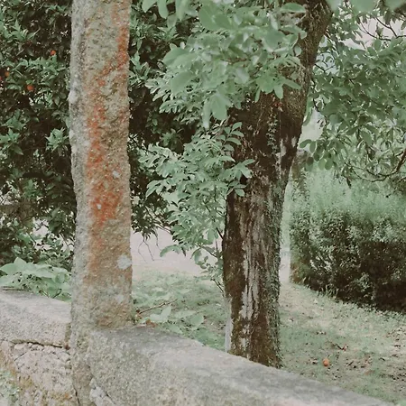 Vila Quinta Flores