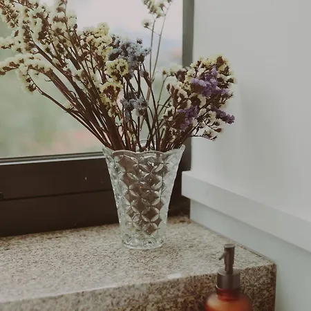 Quinta Flores