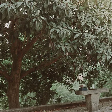 Quinta Flores