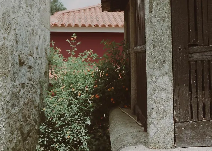 וילה Quinta Flores Geraz do Lima