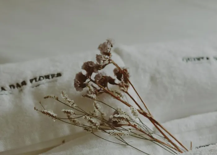 ヴィラ Quinta Flores