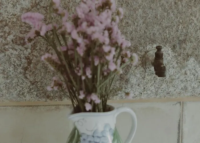 Quinta Flores Villa *