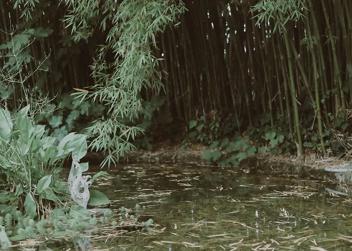 Quinta Flores Villa *