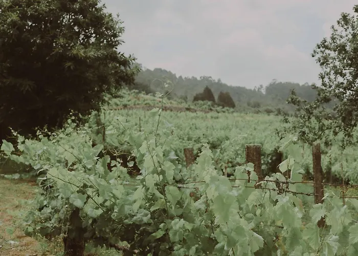 Quinta Flores Villa *